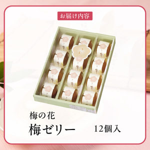 梅の花　梅ゼリー　12個入_梅ゼリー 95g × 12個 完熟 南高梅 まるごと 一粒 使用 優しい 甘さ 喉越し 爽やか とろける 食感 アレンジ シャーベット 梅酒ソーダ 梅 ゼリー おやつ デザート スイーツ フルーツゼリー 和菓子 贈答用 手土産 お取り寄せ グルメ 福岡県 久留米市 送料無料 〔Dw043〕