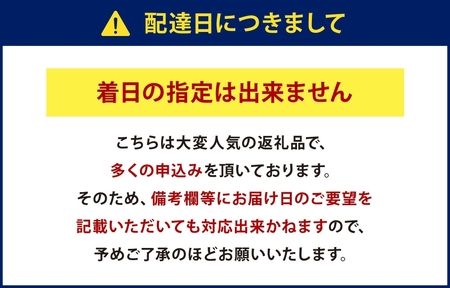 冷凍 宇陀里牛 手作り 生 ハンバーグ ６個 ( １個あたり 約150g ) ／ 個包装 黒毛和牛 ビーフ 時短レシピ おかず ハンバーガー お弁当 光福久屋 奈良県 宇陀市 ふるさと納税