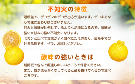 【規格外品】不知火 (デコポンと同品種) ご家庭用 10kg サイズ不選別 しらぬい みかん 果物 くだもの フルーツ 【2027年1月下旬～3月下旬迄発送予定】