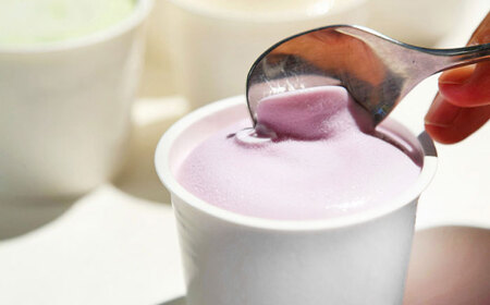 ジェラート&ソルベ 12個 BKAD090