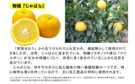 じゃばらサイダー 250ml×6本 BKAD019