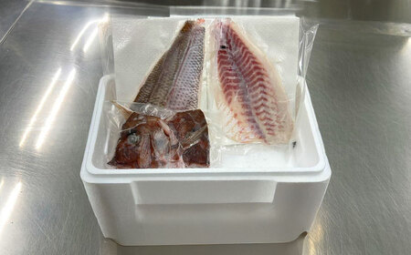 愛媛県産養殖真鯛フィレ2枚 BKBA001