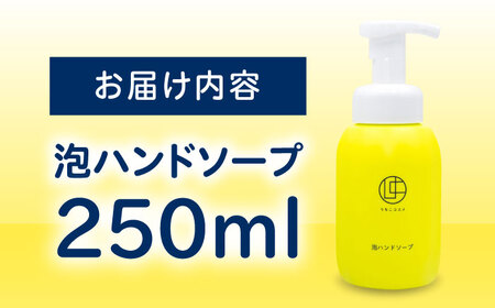 泡ハンドソープ 250ml BKAZ001 ハンドソープ