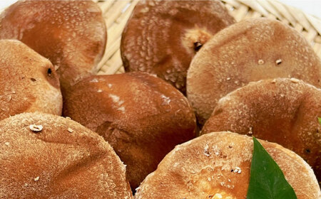 生しいたけ 15枚入 BKAY014