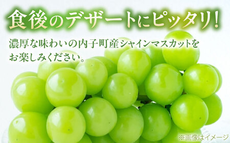 【先行予約】シャインマスカット ムジ 3房から5房 約2kg BKAY004 マスカット