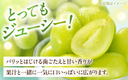 【先行予約】シャインマスカット 秀品 3房から5房 約2kg BKAY005