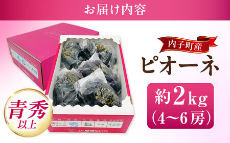 【先行予約】ピオーネ 青秀以上 4-6房 2kg BKAY010