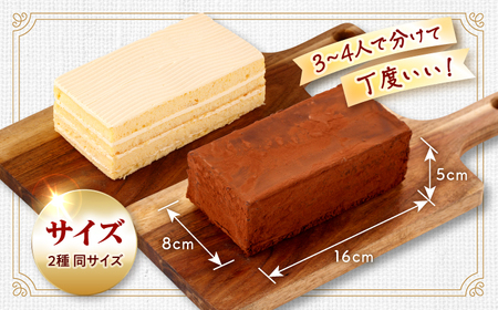 ケーキ2種食べ比べ CAM064 ケーキ