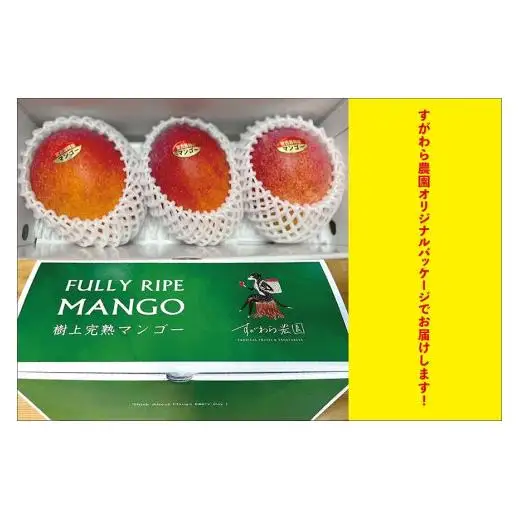 宮古島すがわら農園　完熟マンゴー1kg（2～3玉）（FR006）