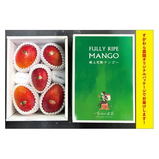 宮古島すがわら農園　完熟マンゴー2kg（3～6玉）（FR007）