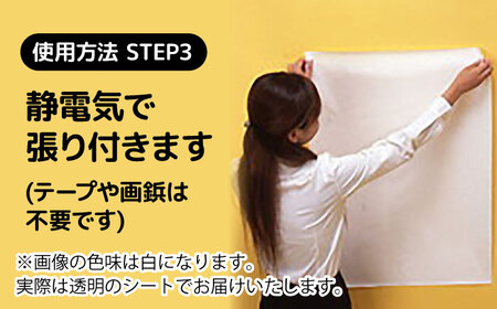 ホワイトボード ピタッとandかきけしーと (透明)10枚入り×2本セット [AIAR002] 
