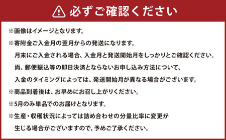 【6か月連続定期便】熊本便り！旬のフルーツ詰め合わせ定期便 ｜ くだもの 果物 フルーツ 旬 いちご 柑橘 みかん メロン すいか シャインマスカット 梨 熊本県