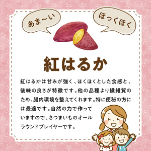 干し芋紅はるか100g×8袋 N063-YZA482