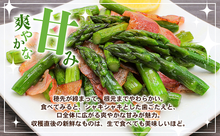 アスパラガス【さぬきのめざめ】夏芽Mサイズ900g グリーンアスパラガス 野菜 柔らかい シャキシャキ 旬の野菜 国産 食材 