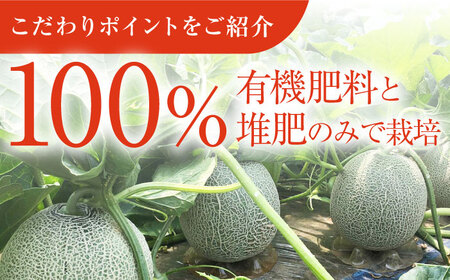 【先行予約】【数量限定50セット】よこすか潮風メロン 大玉4L 2玉セット 計約3kg 【井上農園】 [AKDJ001]