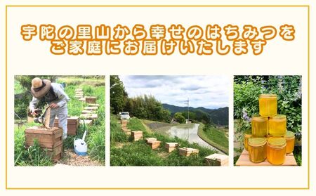 【6月以降発送予定】国産 純粋 はちみつ 里の花 125g (1本)／ 蜂蜜 ハチミツ 非加熱 無添加 無加工 百花蜜 単花蜜 キハダ お取り寄せ 伊藤ゆう養蜂園 奈良県 宇陀市 ふるさと納税