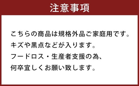 【規格外品】はるか ご家庭用 10kg サイズ不選別 サラダみかん 柑橘 ミカン 果物  【2027年2月上旬～3月下旬迄発送予定】