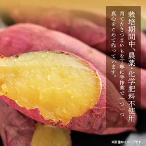 干し芋紅はるかシルクスイート100g各4袋 N063-YZA484