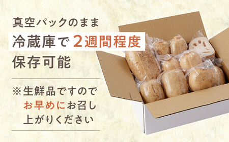【R8年7月以降発送】真空パック 洗いれんこん 約1.5kg / れんこん [ICE002]
