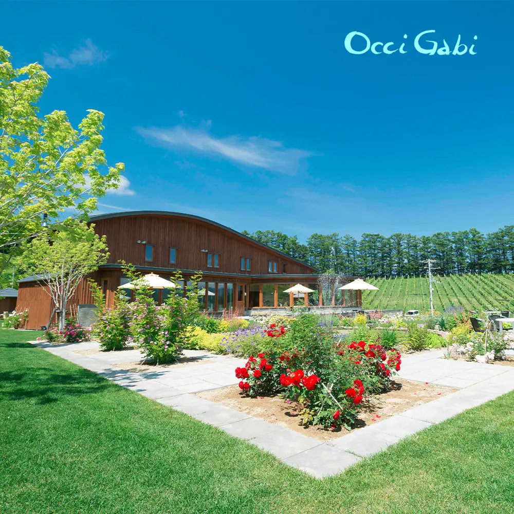 【OcciGabi Winery】ドルンフェルダー 【余市のワイン】 余市 北海道 赤ワイン ドルンフェンダーワイン 人気ワイン おすすめワイン 余市のワイン 北海道のワイン 日本のワイン 国産ワイン お酒 _Y012-0107