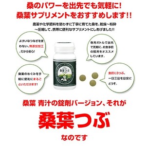 有機桑葉つぶセット（360粒×3本）【KW-9】｜送料無料 有機桑葉 つぶ 桑葉 桑茶 桑 桑葉 青汁 無添加 DNJ Q3MG 桑のパワー タブレット 便利 凝縮 健康｜