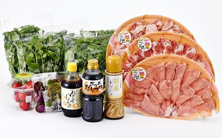 江津クレソン鍋＆クレソンサラダセット