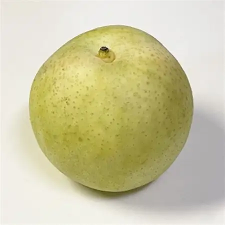 栃木県小山市産「梨」秋麗　5kg【1334081】