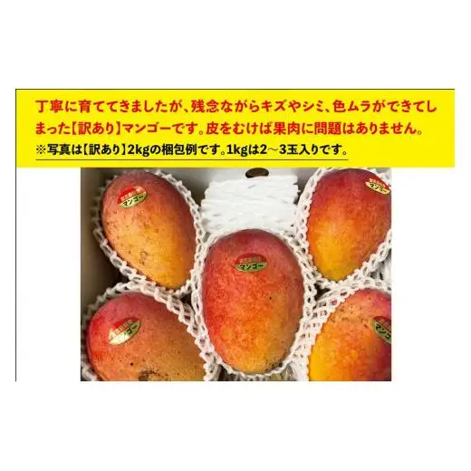 宮古島すがわら農園　【訳あり】完熟マンゴー1kg（2～3玉）（FR003）