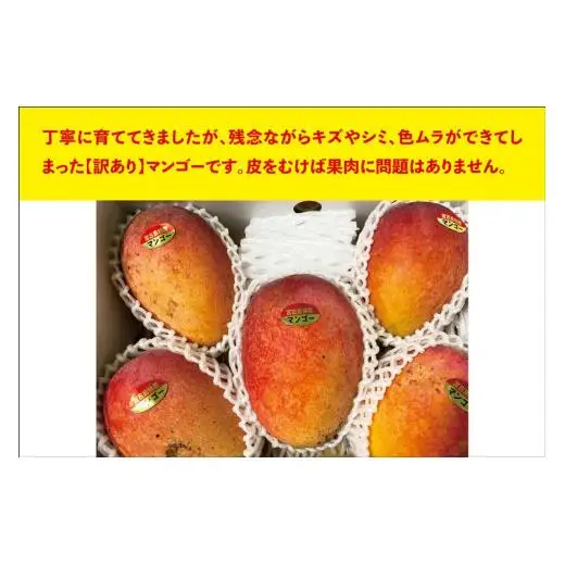 宮古島すがわら農園　【訳あり】完熟マンゴー２kg（3～6玉）（FR004）