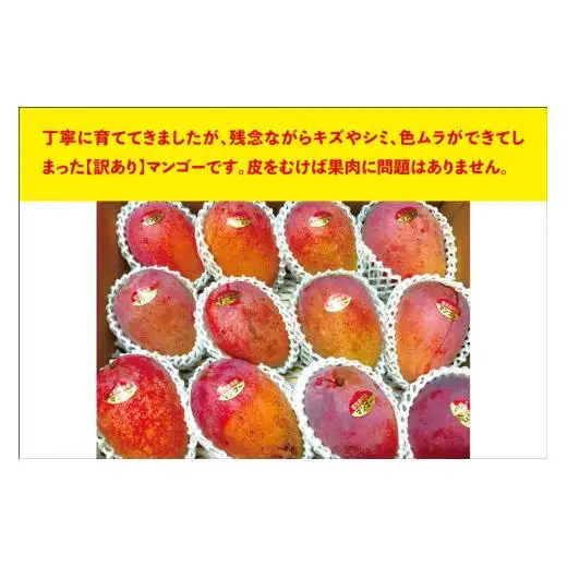 宮古島すがわら農園　【訳あり】完熟マンゴー4kg（8玉以上詰め合わせ）（FR005）