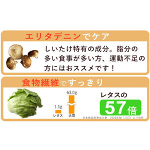 ぬかっち しいたけパウダー 120g 3袋セット