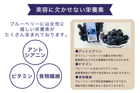 【数量限定・期間限定】 小美玉ブルーベリー 約800g（100g×8） 大粒 小分け 国産 茨城県産 冷蔵 朝採れ 朝どり 朝どれ 生果 ブルーベリー フルーツ 果物 くだもの とれたて 新鮮 ぶるーべりー 17-AG ＜6月下旬～7月中旬発送予定＞