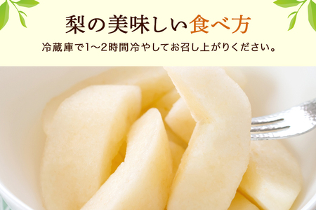 【数量限定 / 夏季限定】 梨（秋月）約5kg 梨 なし ナシ 日本梨 あきづき アキヅキ 17-X 【9月上旬～中旬発送予定】