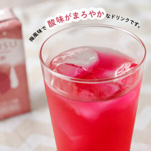 サンA 紅酢（機能性表示食品）125ml 紙パック 48本入り【飲料 ガラクトオリゴ糖 ビフィズス菌 腸内環境 便通改善 酢 紅酢】