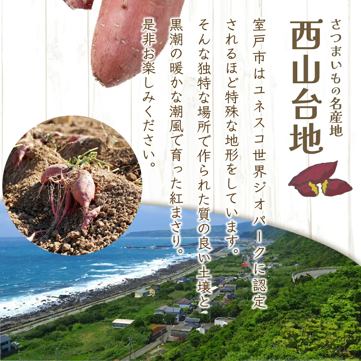 【 先行予約 】 数量限定 掘りたて！あま?い 訳あり 新さつまいも 4kg 紅まさり 芋 さつま芋 野菜 サツマイモ 甘い 焼き芋 やきいも スイートポテト 旬 やさい 家庭用 