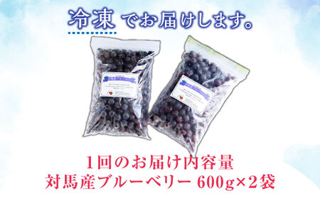【先行予約】【全6回定期便】 大容量 対馬産 ブルーベリー （ 冷凍 ） 1.2kg [WBG003] 有機 旬 ブルーベリー フルーツ 