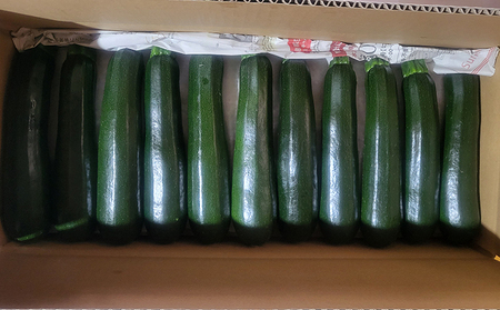信州高原塩熟野菜 約10kg お任せ 野菜セット 野菜詰め合わせ レタス キャベツ ズッキーニ カリーノケール サニー おたのしみ