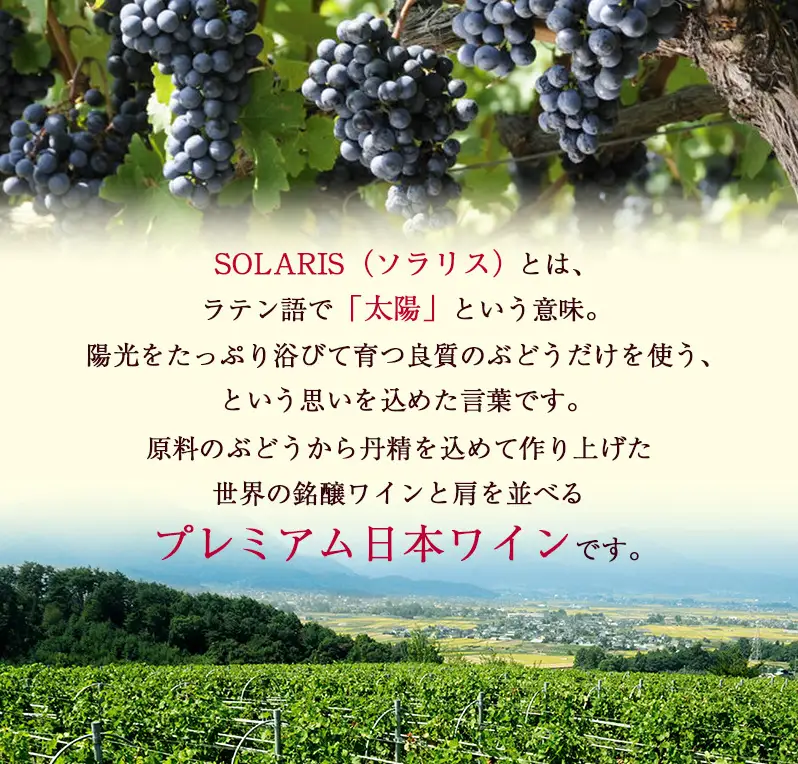 父の日 ワイン 信州ワイン 赤 ソラリス 千曲川 カベルネ・ソーヴィニヨン 750ml×1本 赤ワイン お酒 ぶどう酒 タンニン 完熟した香り 果実味 スパイシー 晩酌 おうちディナー 飲み物 家飲み 宅飲み