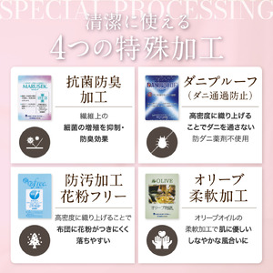 【春夏用】洗える羽毛布団 セミダブル肌掛け ダウン夏 春 ホワイトグースダウン93% 0.4kg 400dp ダウンケット 無地 アイボリー [川村羽毛 山梨県 韮崎市 20743582]