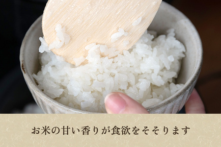 【令和7年産】新潟産コシヒカリ「雪椿米」特別栽培米 精米10kg （5kg×2袋） 白米真空パック