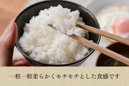 【令和7年産】【精米】加茂産ミルキークイーン「ミルキー米」真空パック 5kg ミルキークイーン 新潟県産ミルキークイーン 米 お米 ミルキークイーン ミルキークイーン ミルキークイーン ミルキークイーン ミルキークイーン