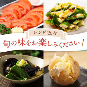 【2026年発送分先行予約】みうら農園 季節の野菜セット（夏野菜）【2026年6月中旬以降順次】
