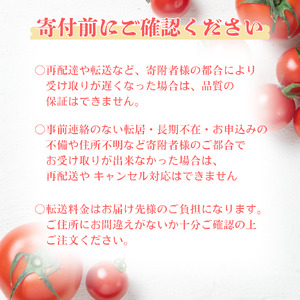 三須トマト農園 ミニトマト詰合せ 2.7kg とまと トマト フルーツトマト ミニトマト トマトジュース 野菜 やさい 人気 新鮮 産地直送 甘い 高糖度 完熟 食べやすい リコピン ビタミン ダイエット 美容 美肌 期間限定 限定