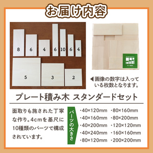 遊びの世界が広がる積み木！プレート積み木スタンダードセット [h007]