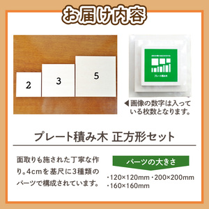 遊びの世界が広がる積み木！プレート積み木正方形セット [h007]