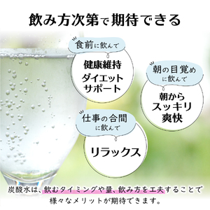 シリカ＆バナジウム強炭酸水PET500ml×2箱(48本入)友桝飲料  炭酸水 