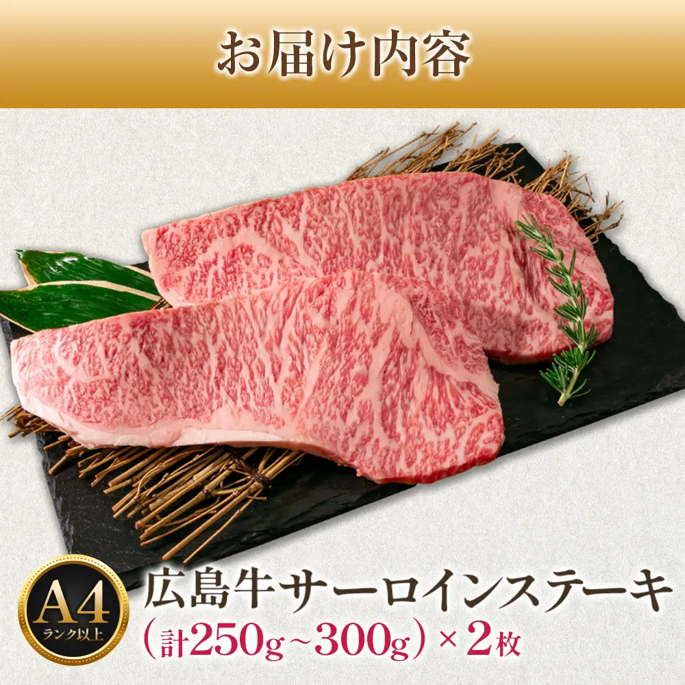 広島牛サーロインステーキ2枚【合計500g以上】（A4ランク以上） MO013_003