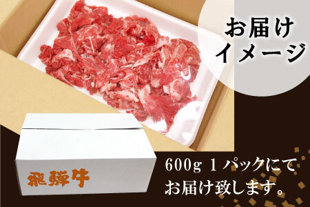 【8月発送】飛騨牛 切り落とし 600g 牛肉 和牛 肉 切落し ブランド牛 国産 10000円