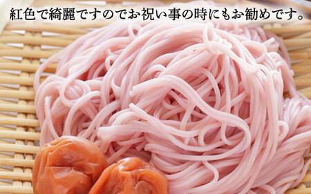 【訳あり】手延べ梅素麺 200g×9袋 / 麺 乾麺 素麺 そうめん 梅 / 南島原市 / のうち製麺 [SAF033]