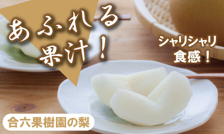 【先行予約】あきづき「秋月」 梨 5kg 親子三世代 農家 合六果樹園 梨 果物 フルーツ B140-017 
